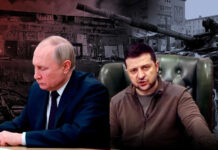 As the death toll in Ukraine rises, Zelensky requests that Putin meet with him face to face putin and zelensky